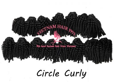 circle curly hair vendor